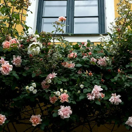 Bed & Breakfast Marienschloessl Wiedendorf