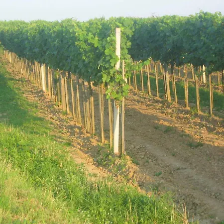 Marienschloessl * Wiedendorf